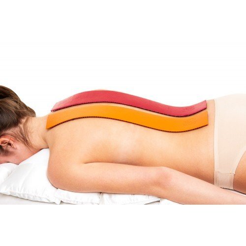 Аппликатор Ляпко двойной 6,2 мм (размер 105х460 мм) Аппликатор Ляпко двойной 6,2 мм (размер 105х460 мм)