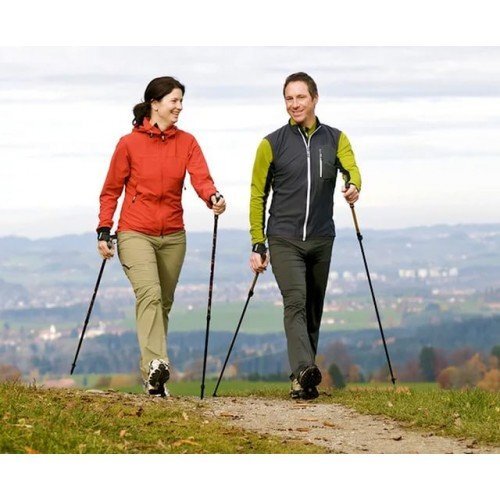 Палки телескопические для скандинавской ходьбы НОРДИК СТАЙЛ Палки телескопические для скандинавской ходьбы НОРДИК СТАЙЛ