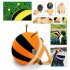 Ранец детский «ПЧЕЛКА» оранжевый Bumble bee backpack orange