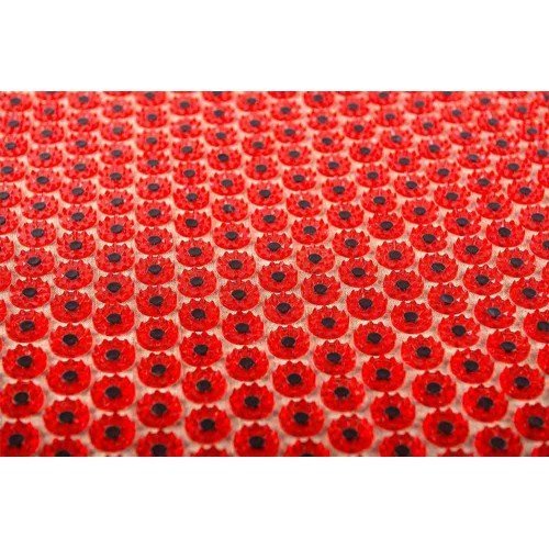 Аппликатор Кузнецова на мягкой подложке 41x60 см Красный – менее острые иглы