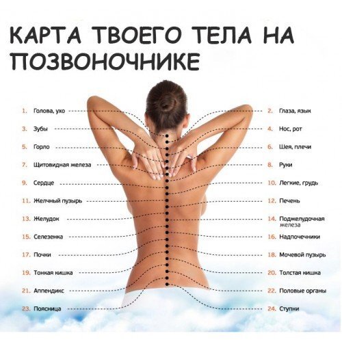 Массажная накидка здоровая спина Нью